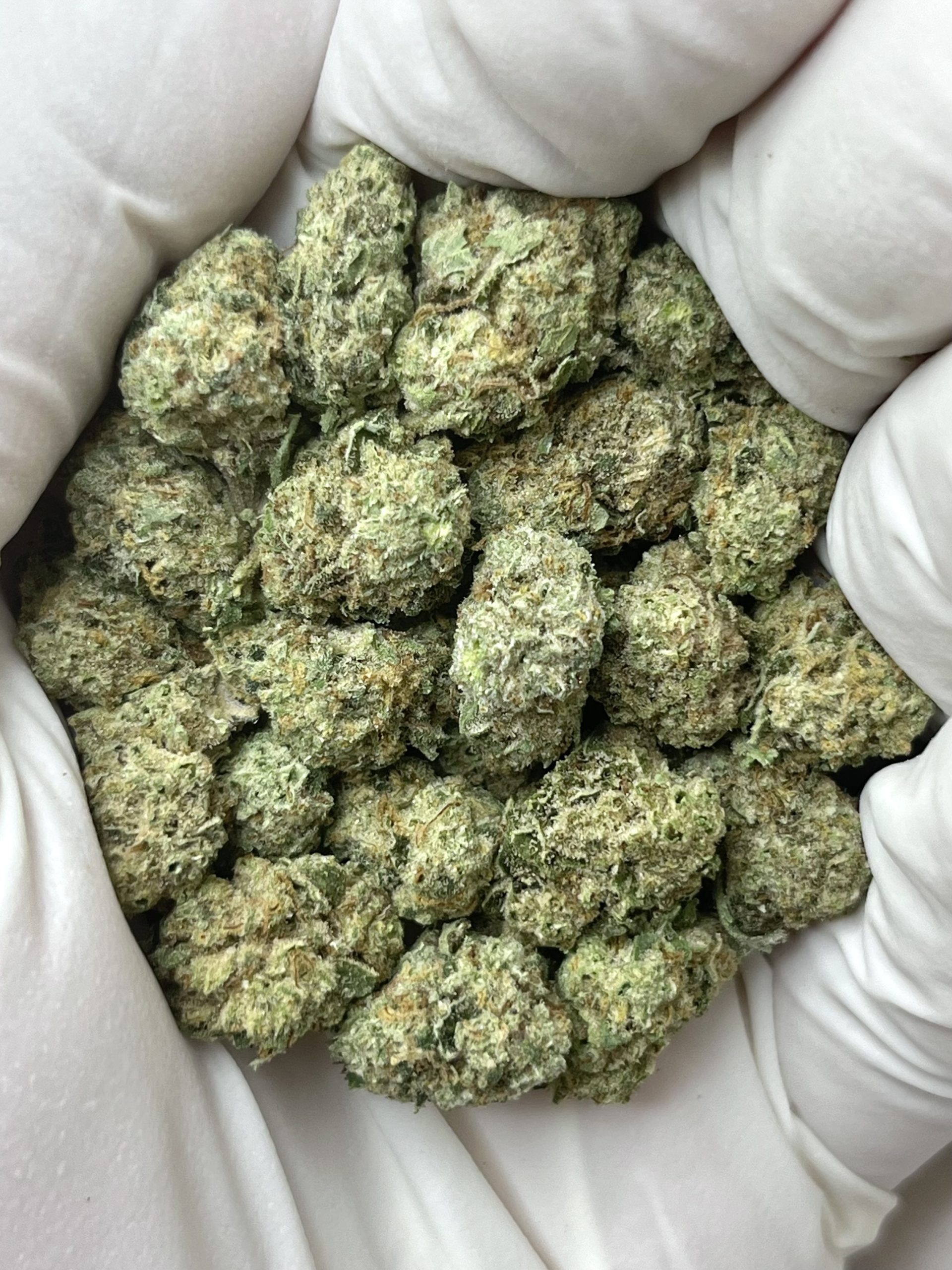 Bulk Pounds THCA Flower - Image 12