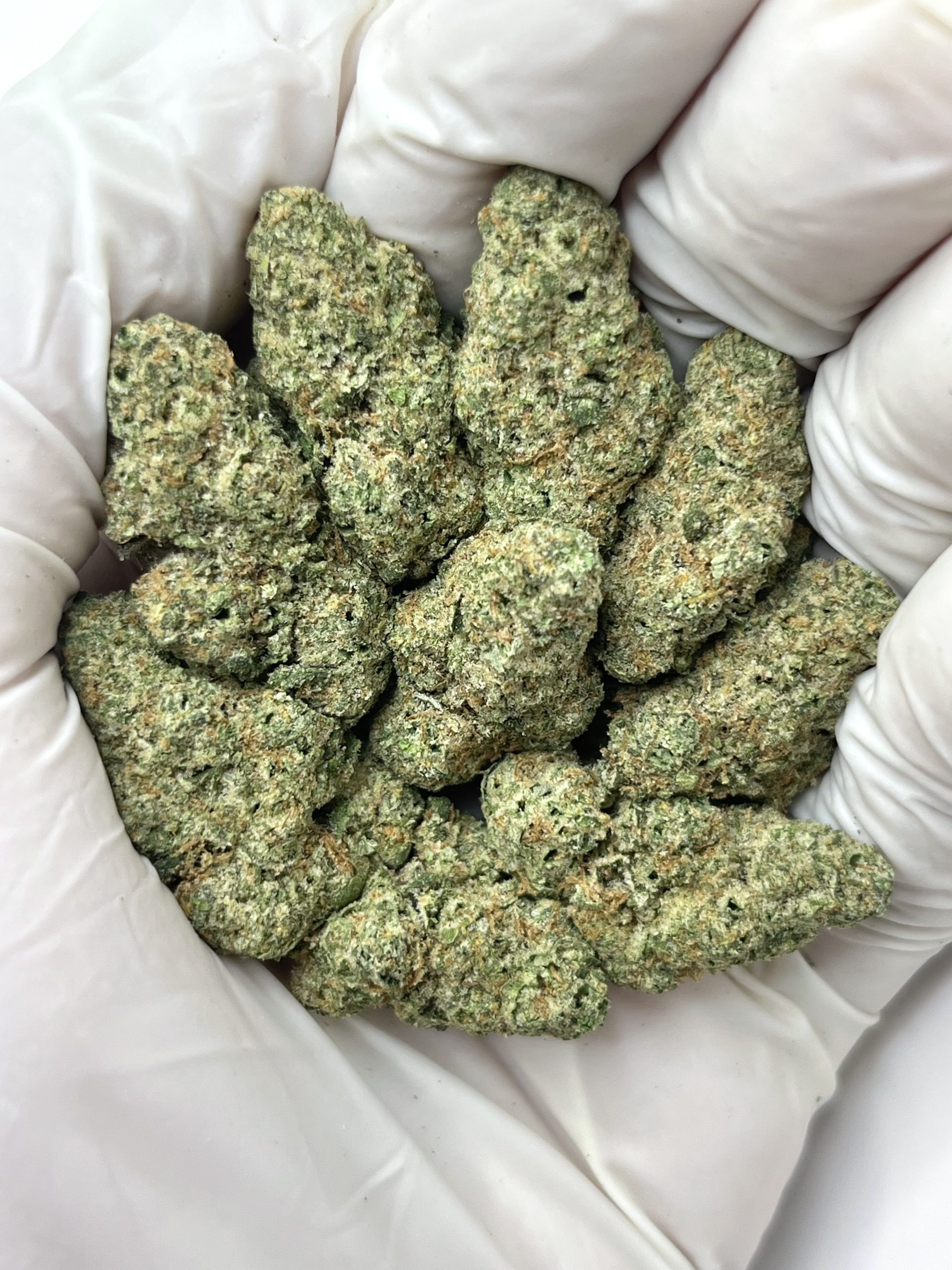 Bulk Pounds THCA Flower - Image 15