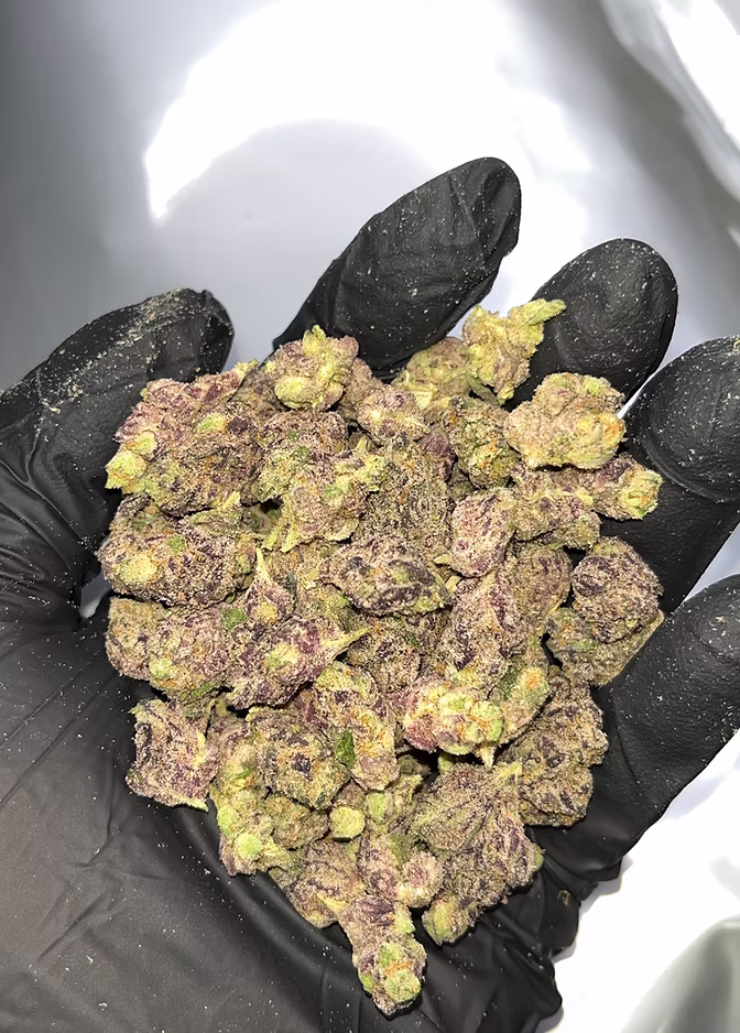 Bulk Pounds THCA Flower - Image 10