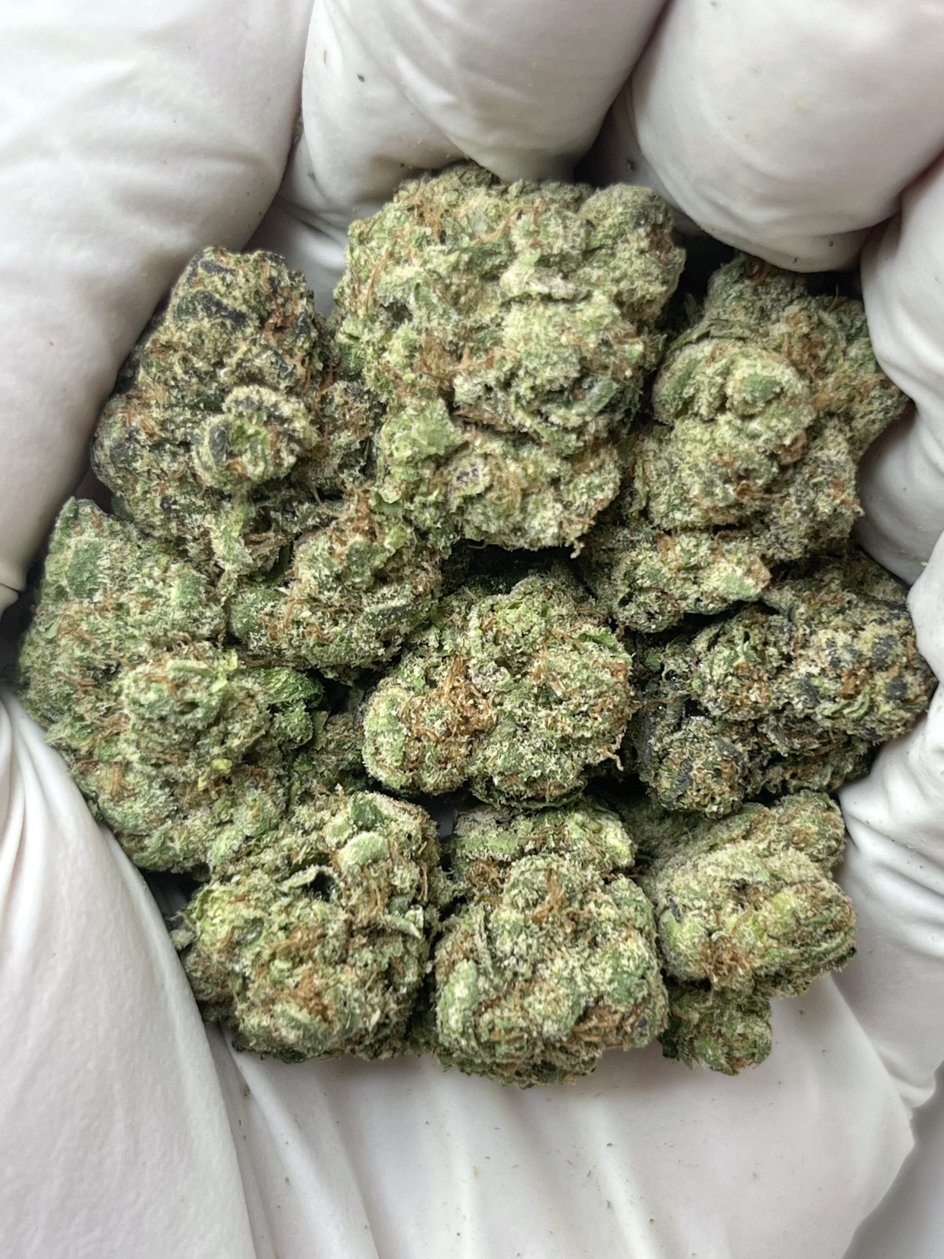Bulk Pounds THCA Flower - Image 9