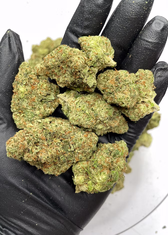 Jack Herer Indoor