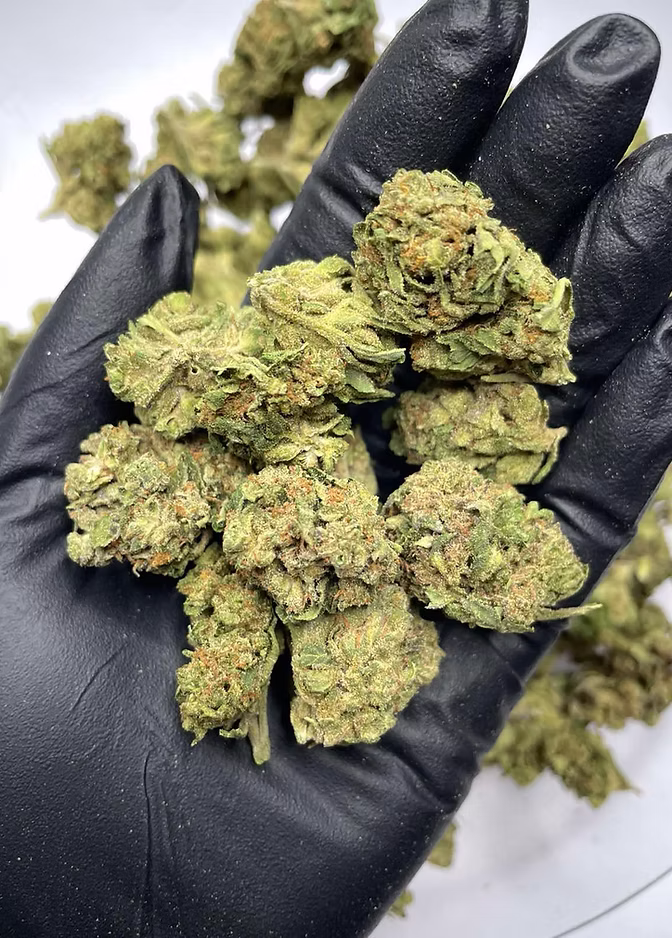 Bulk Pounds THCA Flower - Image 5