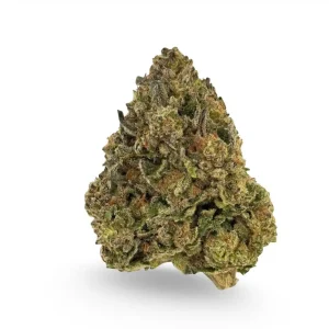 Obama-Runtz-THCA-Flower-–-600-a-Pound