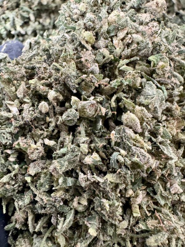 Georgia Pie Exotic Indoor Trim