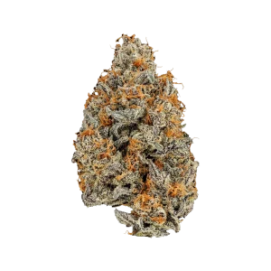 Gelato 41 THCA Flower